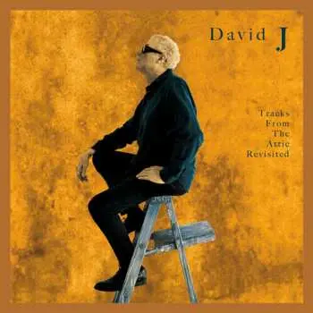 LP David J: Tracks From The Attic Revisited LTD | NUM