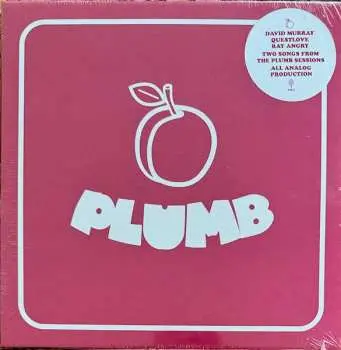 SP David Murray: Plumb