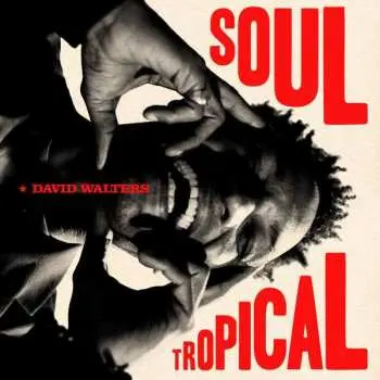 2LP David Walters: Soul Tropical