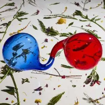 LP Dirty Projectors: Lamp Lit Prose
