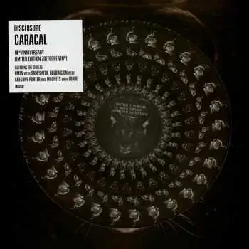 2LP Disclosure: Caracal LTD