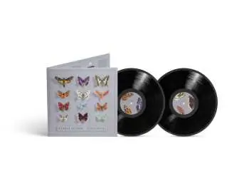 2LP Dominik Eulberg: Lepidoptera
