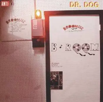 LP Dr. Dog: B-Room LTD