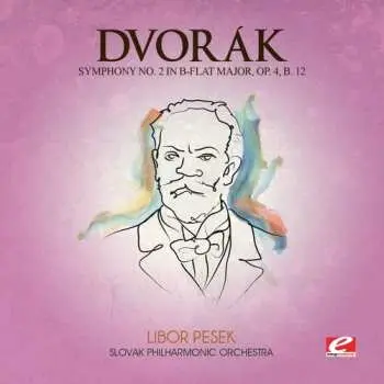 CD Antonín Dvořák: Symphony 2 B-flat Maj 4 B 12