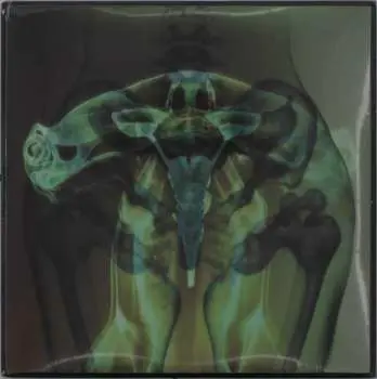 SP Eartheater: Shark Brain / Dolphin CLR | LTD