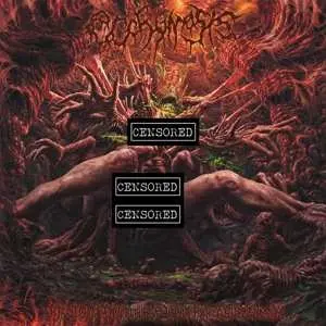 CD Ecchymosis: Ritualistic Intercourse Within Abject Surrealism