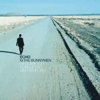 LP Echo & The Bunnymen: What Are You Going To Do With Your: 25th Anniv