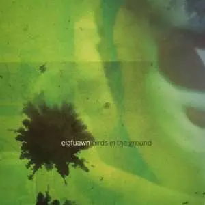 LP Eiafuawn: Birds In The Ground
