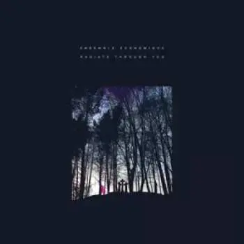 LP Ensemble Economique: Radiate Through You