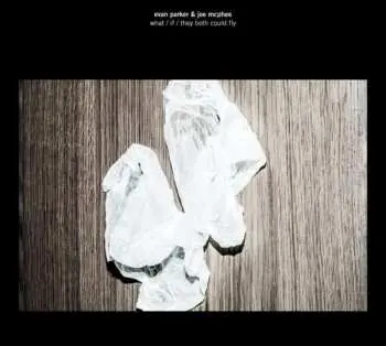 CD Evan Parker: What / If / They Both Could Fly