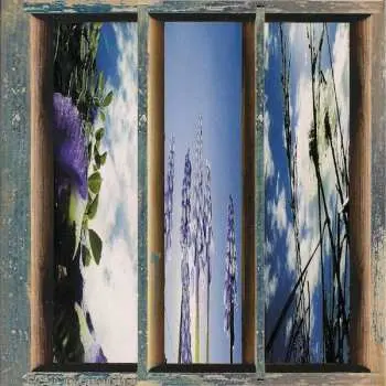 CD Fernando Viciconte: Dreams Of The Sun And Sky