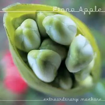 CD Fiona Apple: Extraordinary Machine