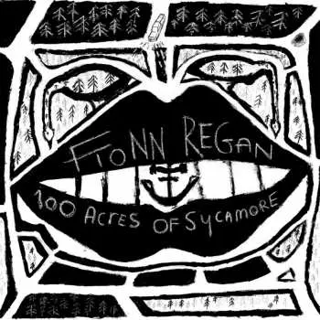 LP Fionn Regan: 100 Acres Of Sycamore LTD