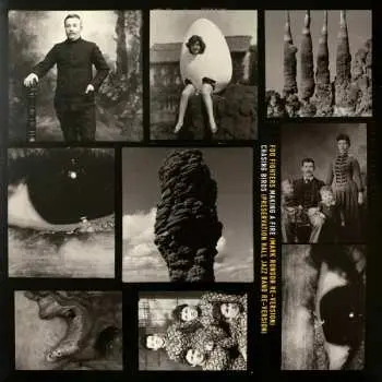 2LP Foo Fighters: Version