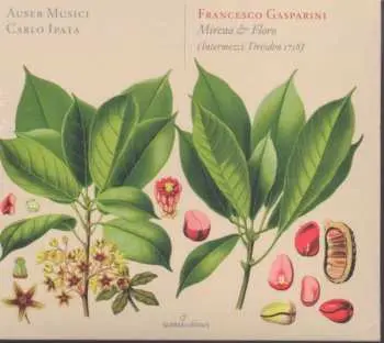 CD Francesco Gasparini: Mirena & Floro (Intermezzi Dresden 1718)