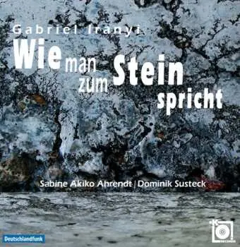 CD Gabriel Iranyi: Wie man zum Stein spricht