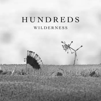 CD Hundreds: Wilderness