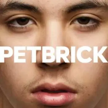 LP Petbrick: I LTD | CLR