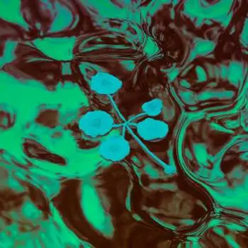 LP Icarus: An Ever-Growing Meridional Entertainment Transgression At The Edge Of The Multiverse