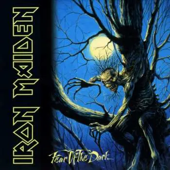 CD/Box Set Iron Maiden: Fear Of The Dark DLX