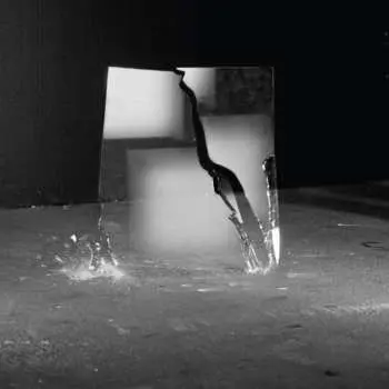 2LP J. Peter Schwalm: The Beauty Of Disaster