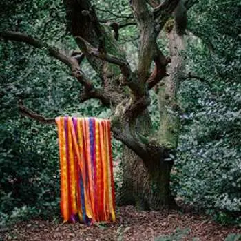 2LP James Holden: The Animal Spirits
