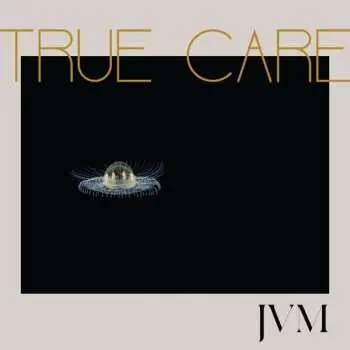 2LP James Vincent McMorrow: True Care