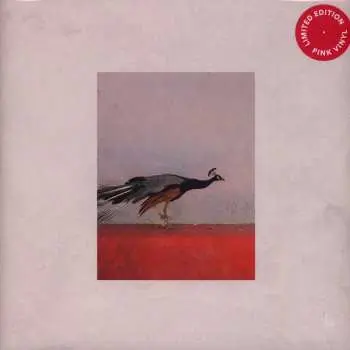 LP Jason Singh & The Banwasi Collective: Travellers
