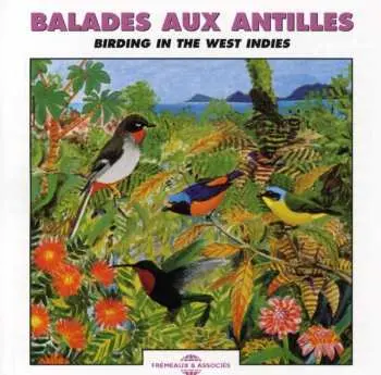 CD Jean C. Roché: Balades Aux Antilles - Birding In The West Indies