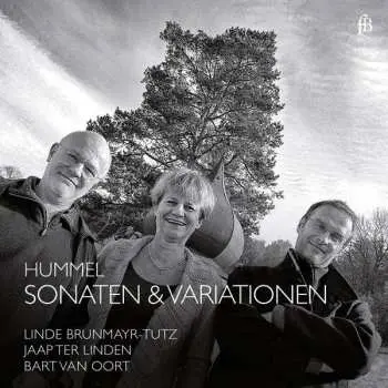 CD Johann Nepomuk Hummel: Kammermusik Mit Flöte