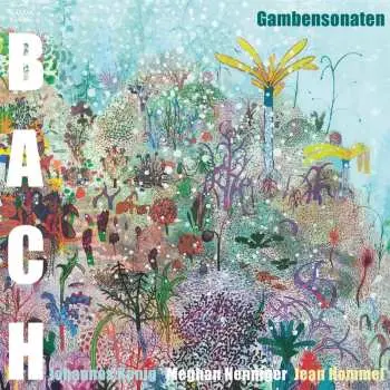CD Johann Sebastian Bach: Gambensonaten Bwv 1027-1029 (fassung Für Violine, Cello & Kontrabass)