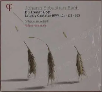 CD Johann Sebastian Bach: Kantaten Bwv 101,103,115