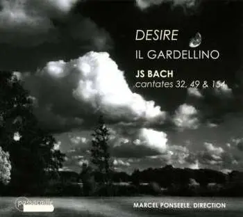 CD Johann Sebastian Bach: Kantaten Bwv 32,49,154 - "desire"