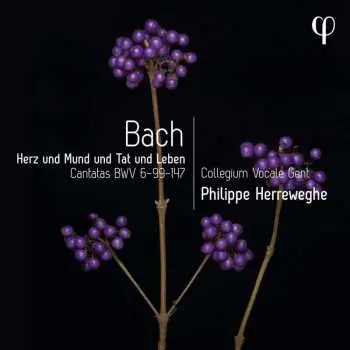 CD Johann Sebastian Bach: Kantaten Bwv 6,99,147