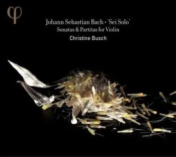 2CD Johann Sebastian Bach: Sei Solo - Sonatas & Partitas For Violin
