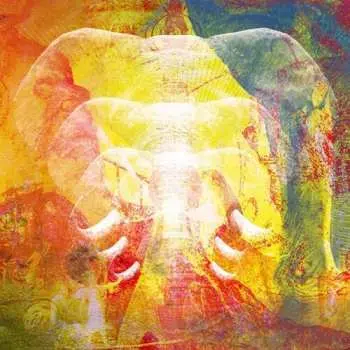 CD Join The Din: Elephants In Autumn Rage
