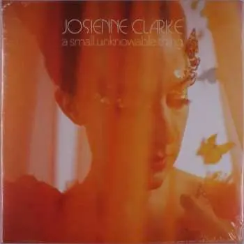 LP Josienne Clarke: A Small Unknowable Thing