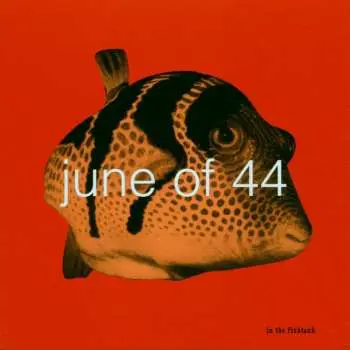 CD June Of 44: In The Fishtank