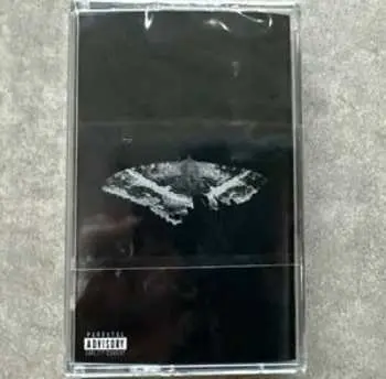 MC Kendrick Lamar: To Pimp A Butterfly