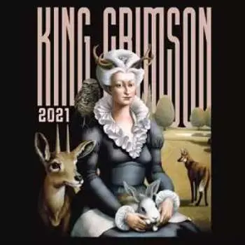 2CD King Crimson: Music Is Our Friend (Live In Washington And Albany, 2021)