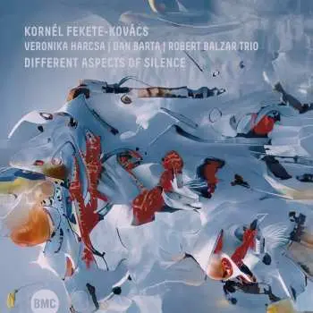 CD Fekete-Kovács Kornél: Different Aspects Of Silence