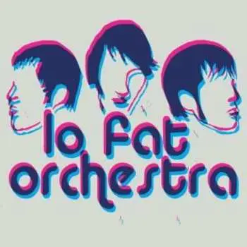 CD Lo Fat Orchestra: Questions For Honey