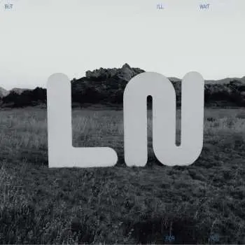 CD Local Natives: But I'll Wait For You