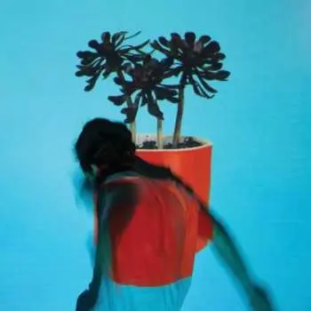 CD Local Natives: Sunlit Youth