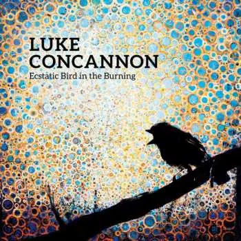 LP Luke Concannon: Ecstatic Bird In The Burning