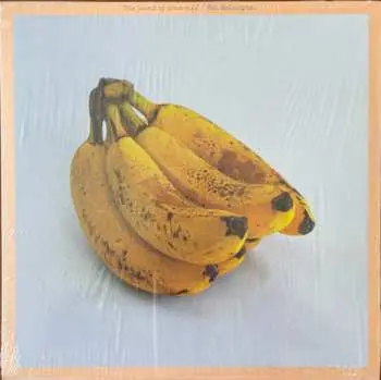 LP Mac McCaughan: The Sound of Yourself CLR