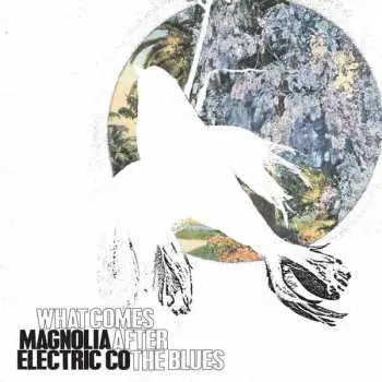 LP Magnolia Electric Co.: What Comes After The Blues