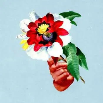 CD Maribou State: Kingdoms In Colour