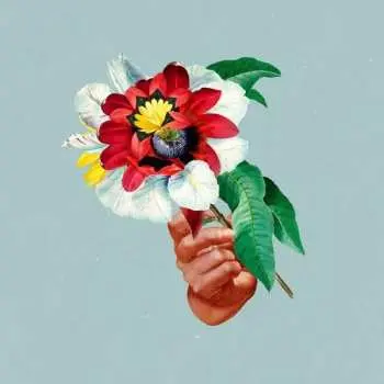 LP Maribou State: Kingdoms In Colour