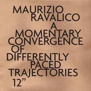 LP Maurizio Ravalico: A Momentary Convergence of Differently Paced Trajectories NUM